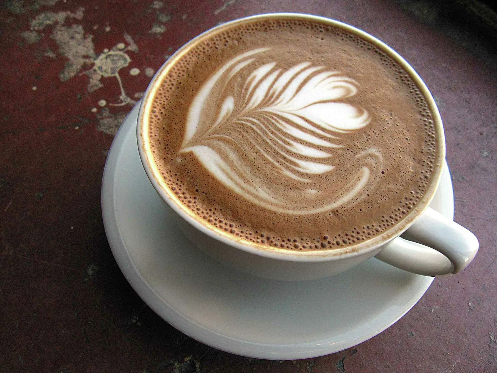 White Elephant Coffee Company in San Antonio — specialty coffee roaster