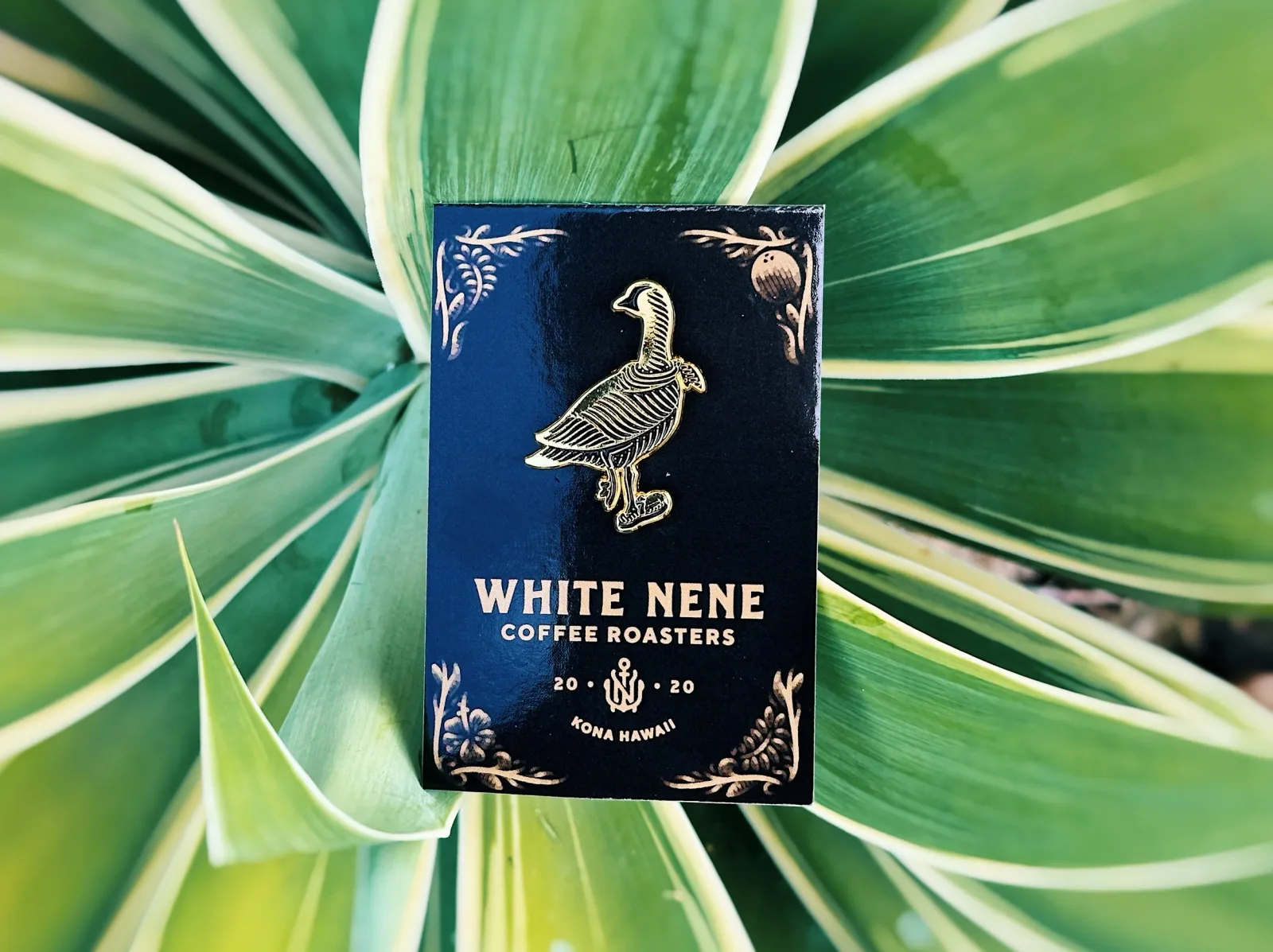 white nene coffee roasters label on green striped plant leaves background., white nene coffee, honolulu