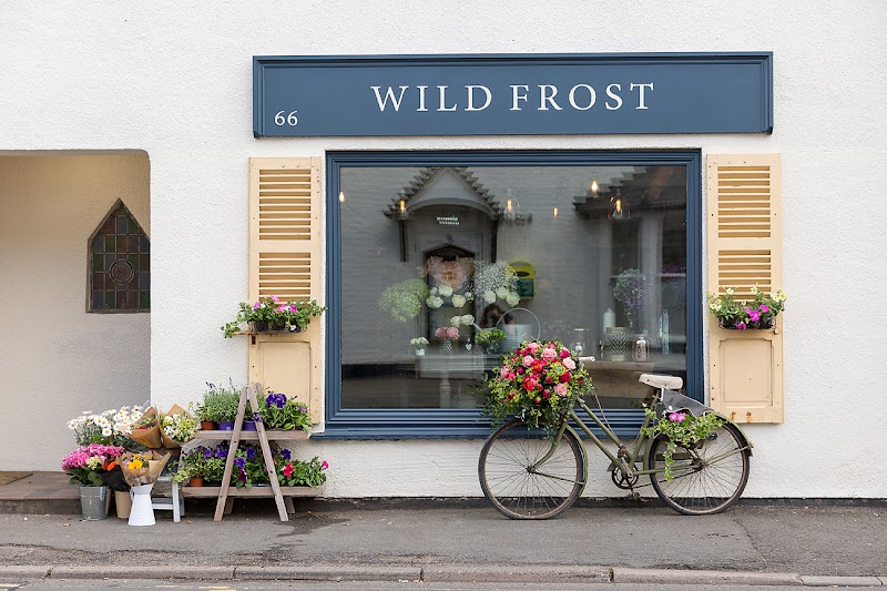 Wild Frost Cafe in Ramsey — specialty coffee cafe