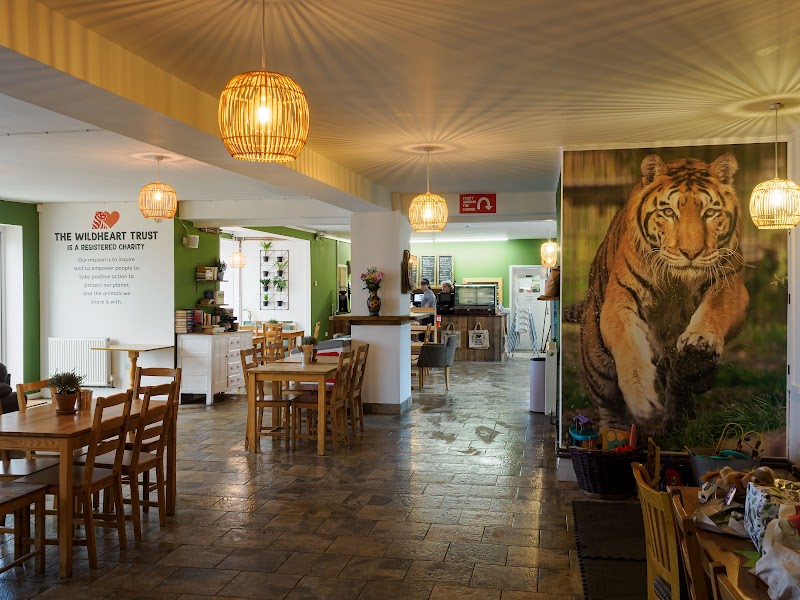 Wildheart Animal Sanctuary, Isle of Wight in Sandown — specialty coffee cafe