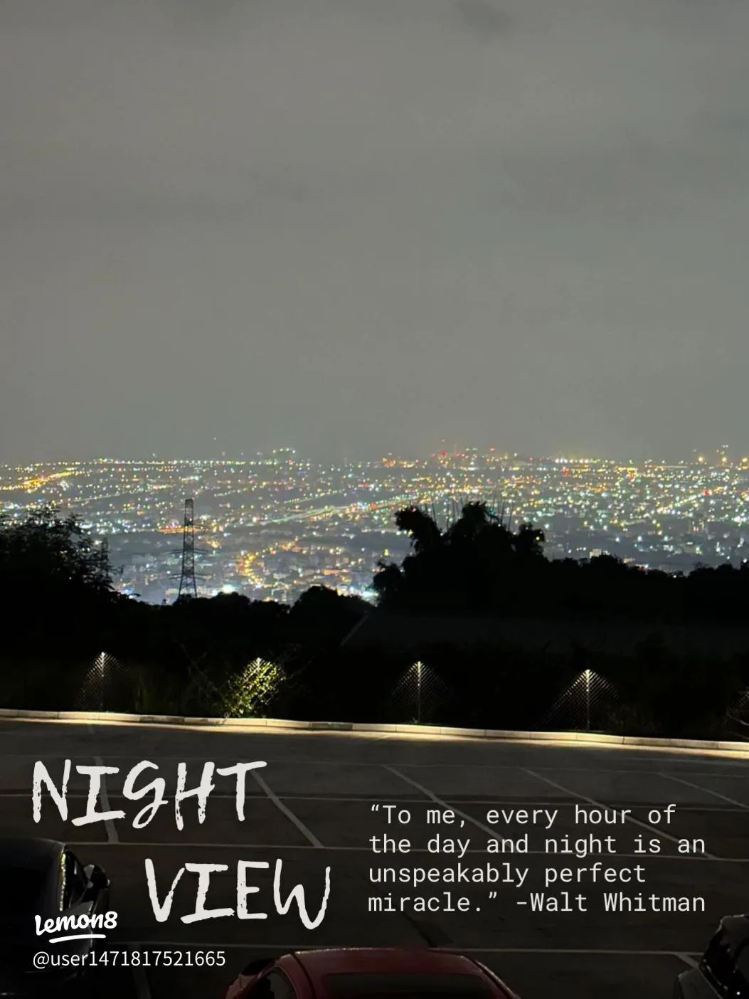 city skyline at night with thousands of lights, silhouetted trees in foreground., wj-coffee, kaohsiung