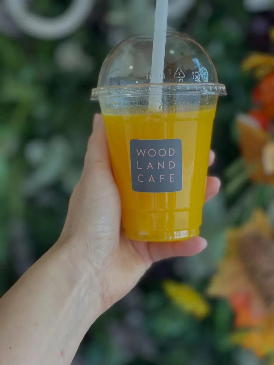 Woodland Cafe in London, specialty coffee cafe