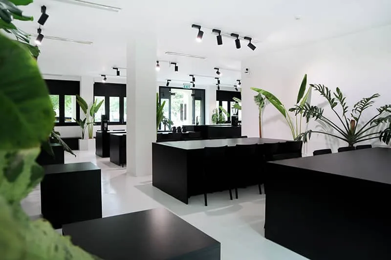 modern minimalist salon with black counters, potted plants, and pendant lighting throughout., xliii specialty coffee, hoi an