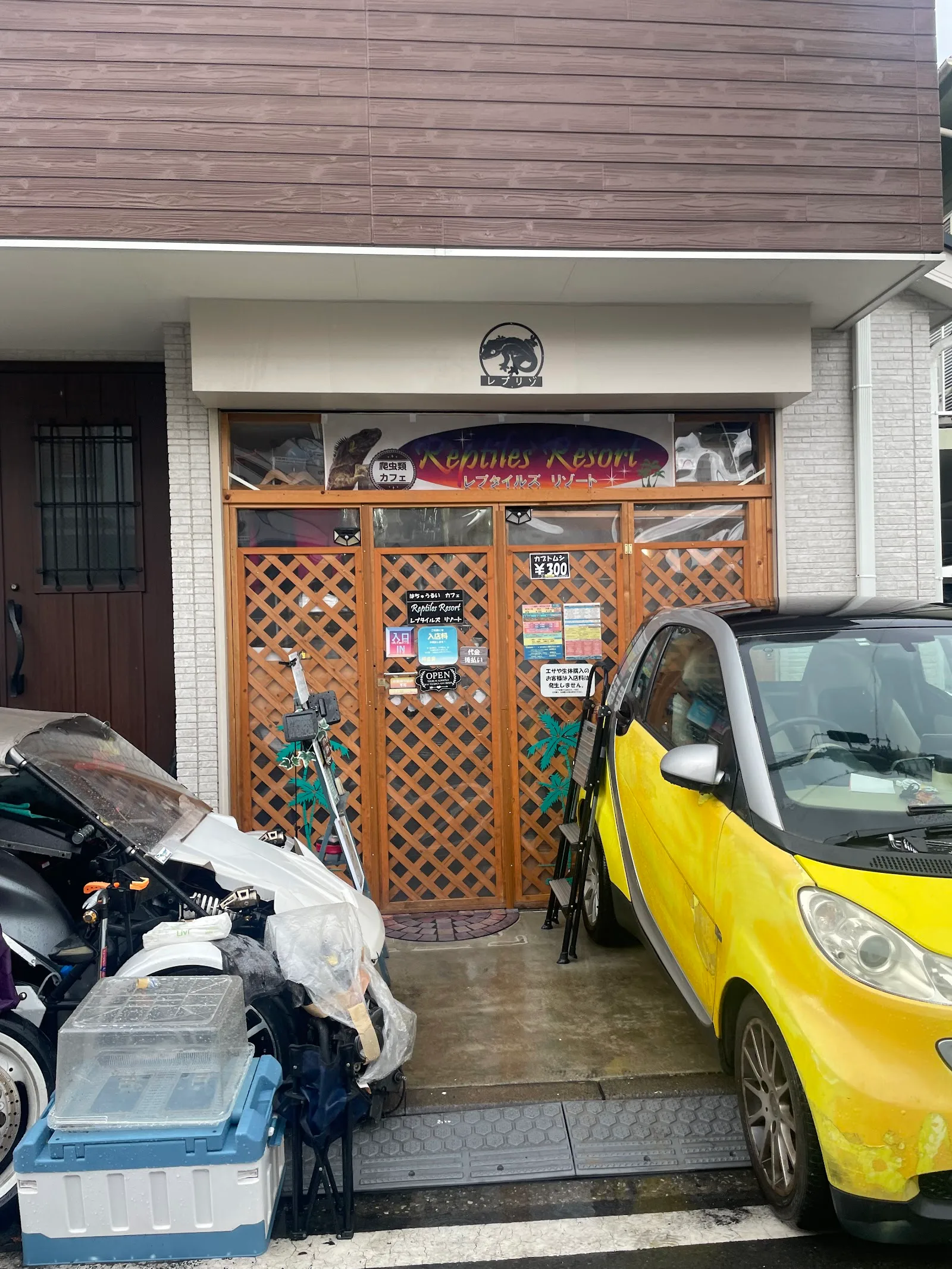 横浜 爬虫類カフェレプタイルズリゾート, Yokohama